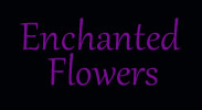 The Wedding Planner Enchanted Flowers