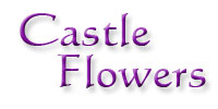The Wedding Planner Castle Flowers