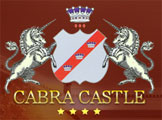 The Wedding Planner Cabra Castle