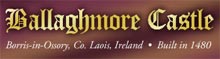 The Wedding Planner Ballaghmore Castle