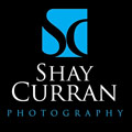 The Wedding Planner Shay Curran Photography