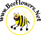 The Wedding Planner Bee Flowers