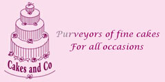 The Wedding Planner Cakes and Co