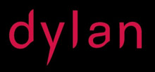 The Wedding Planner Dylan Hotel The Wedding Planner Dylan Hotel