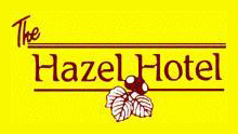 The Wedding Planner Hazel Hotel