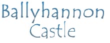 The Wedding Planner Ballyhannon Castle