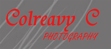 The Wedding Planner Cliff Colreavy The Wedding Planner Cliff Colreavy